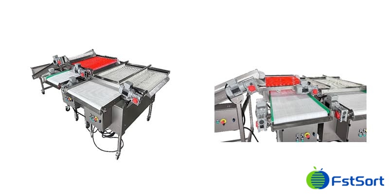 images/1752654532940clasificadora de arándanos.jpg